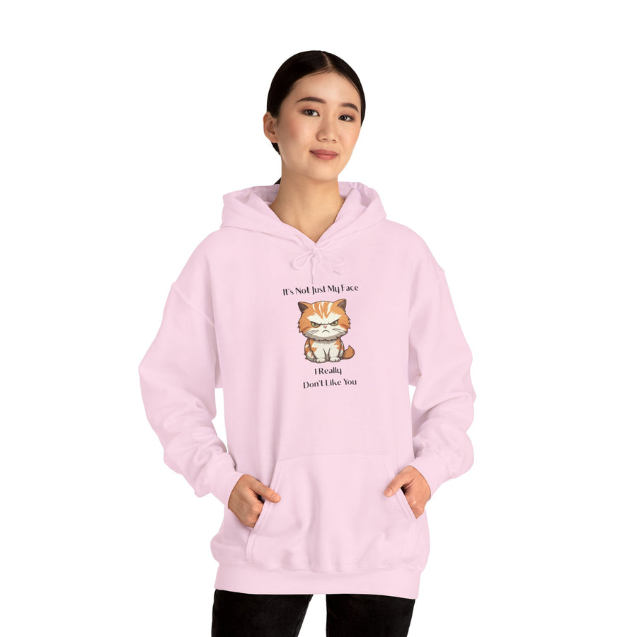 Sassy Cat Hoodie — It's Not Just My Face Graphic Hooded Sweatshirt
