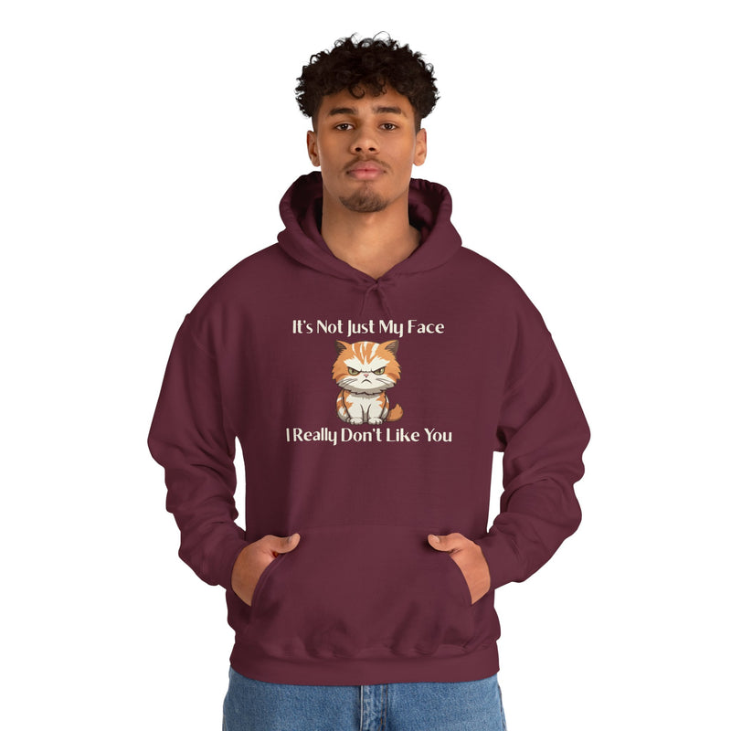 Sassy Cat Hoodie — "It's Not Just My Face, I Really Don't Like You"Graphic Hooded Sweatshirt