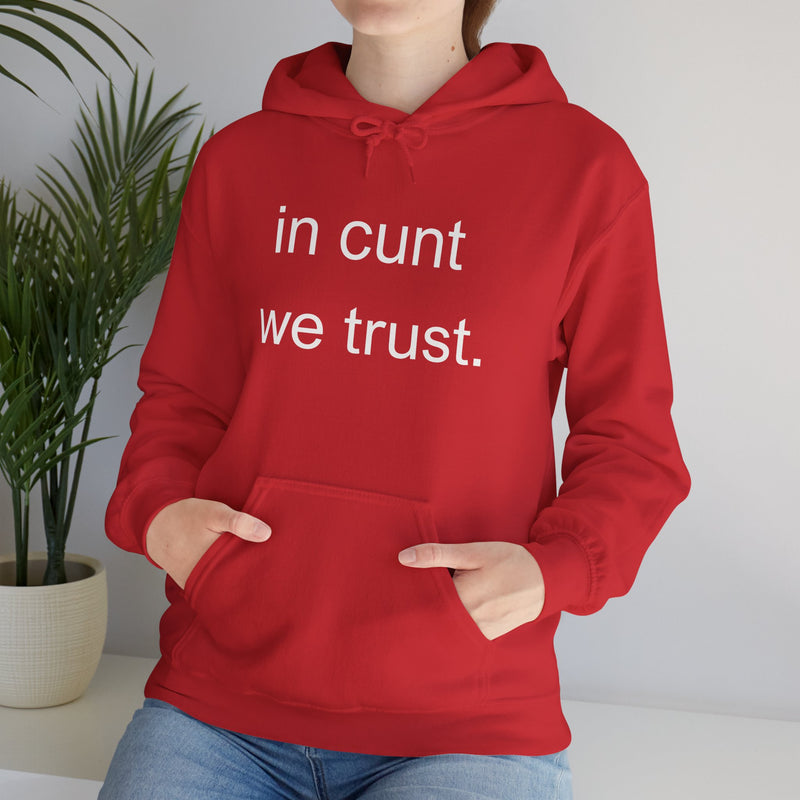 Hoodie — "in cunt we trust." Minimalist Provocative Text Hooded Sweatshirt