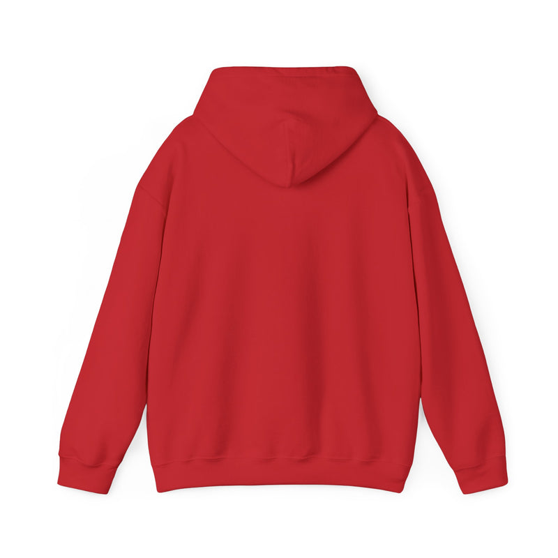 Sassy Cat Hoodie — "It's Not Just My Face, I Really Don't Like You"Graphic Hooded Sweatshirt