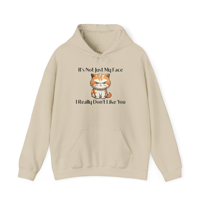 Sassy Cat Hoodie — "It's Not Just My Face, I Really Don't Like You"Graphic Hooded Sweatshirt