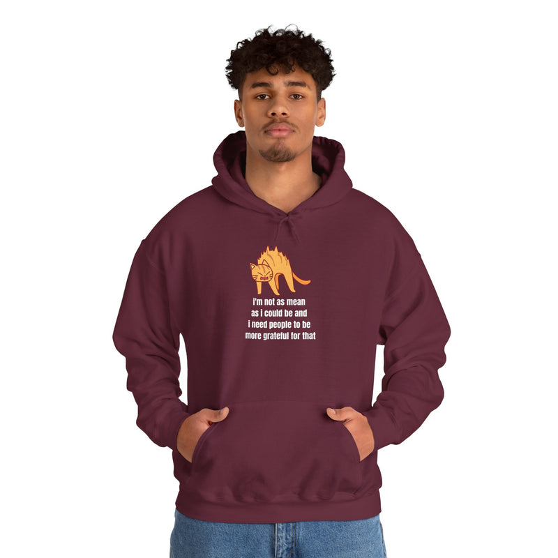 Sassy Cat Hoodie — "I’m not as mean as I could be..." Hooded Sweatshirt