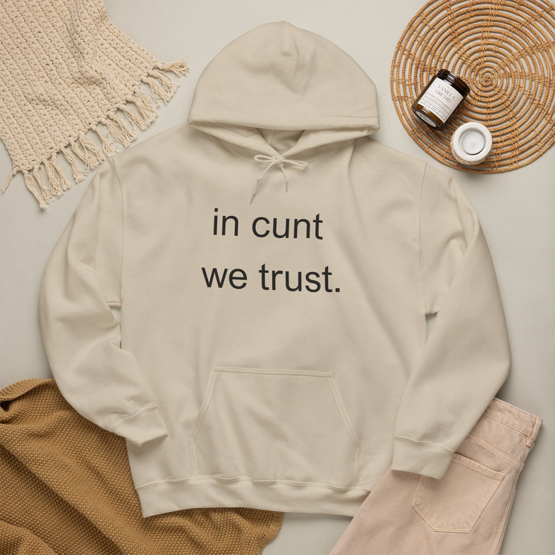 Hoodie — "in cunt we trust." Minimalist Provocative Text Hooded Sweatshirt