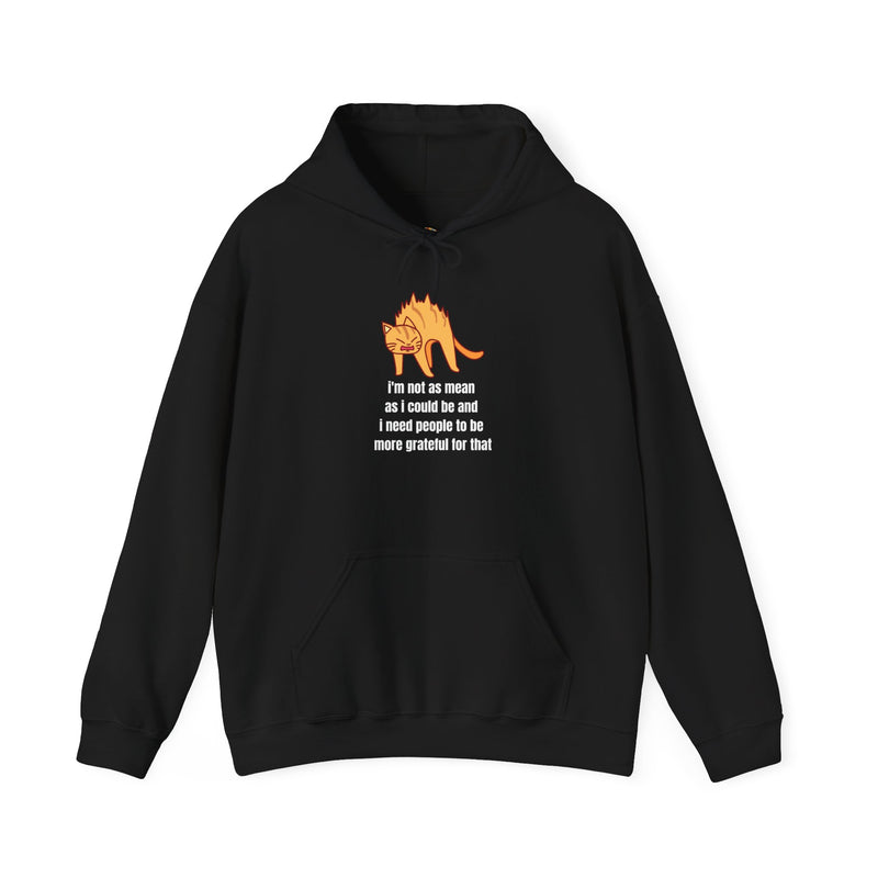 Sassy Cat Hoodie — "I’m not as mean as I could be..." Hooded Sweatshirt
