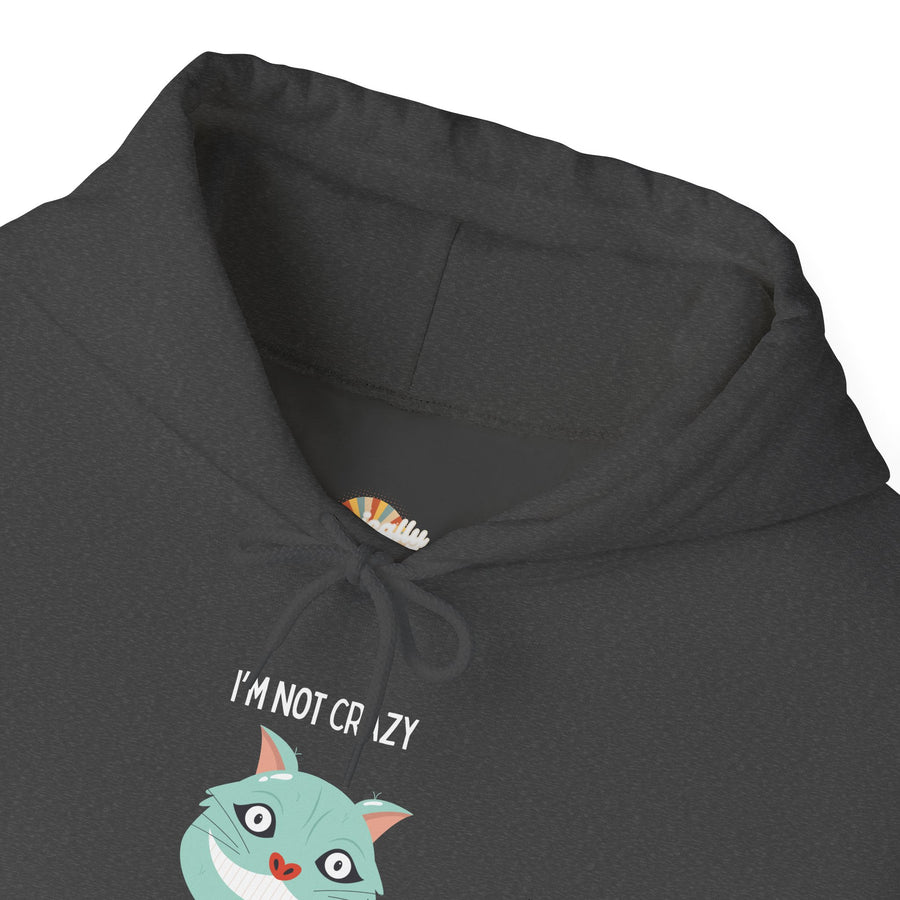Graphic Hoodie — "I’m Not Crazy, My Reality Is Just Different From Yours" Wonderland Hooded Sweatshirt