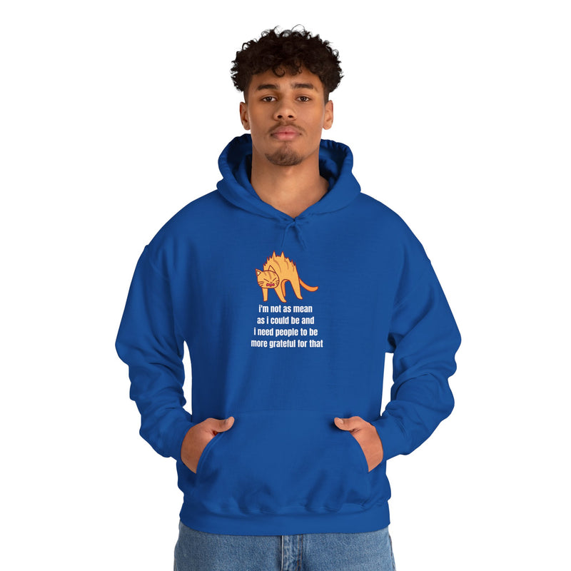 Sassy Cat Hoodie — "I’m not as mean as I could be..." Hooded Sweatshirt