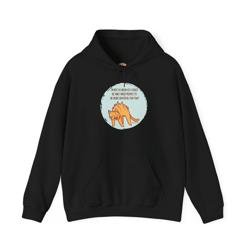 Sassy Cat Hoodie — "I’m not as mean as I could be..." Hooded Sweatshirt