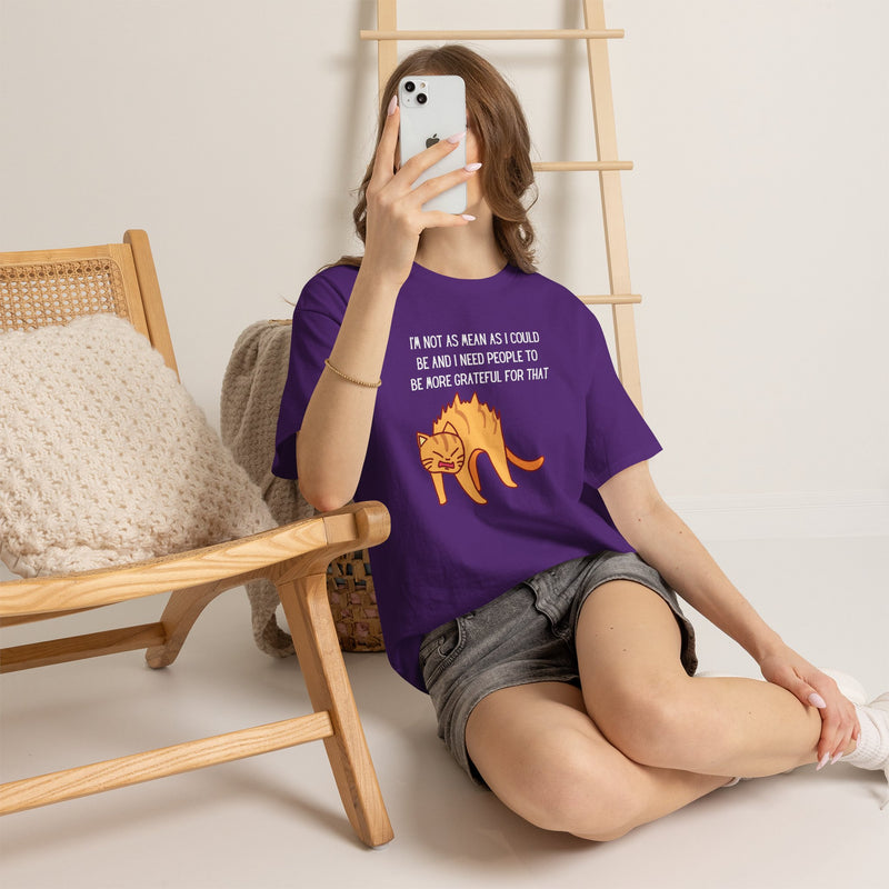 Sassy Cat Attitude T-Shirt — "I’m Not As Mean As I Could Be" Graphic Tee