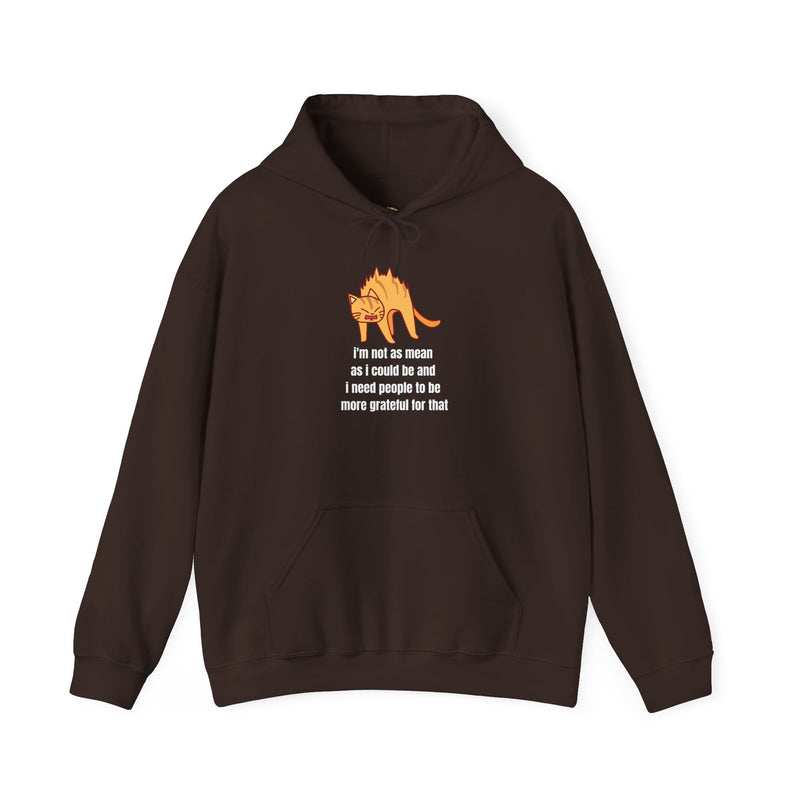 Sassy Cat Hoodie — "I’m not as mean as I could be..." Hooded Sweatshirt
