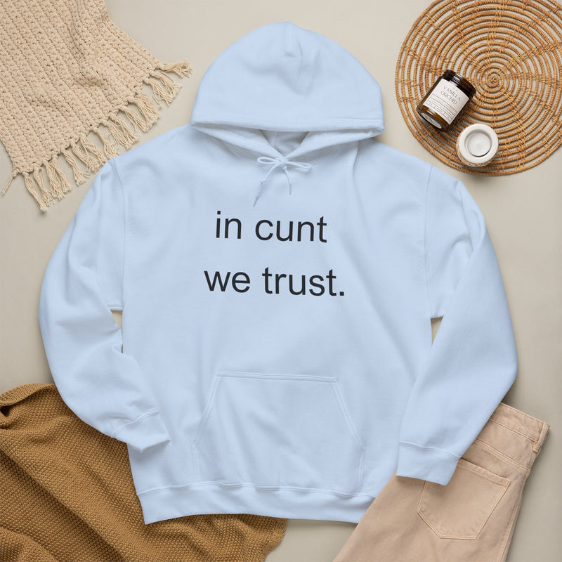 Hoodie — "in cunt we trust." Minimalist Provocative Text Hooded Sweatshirt