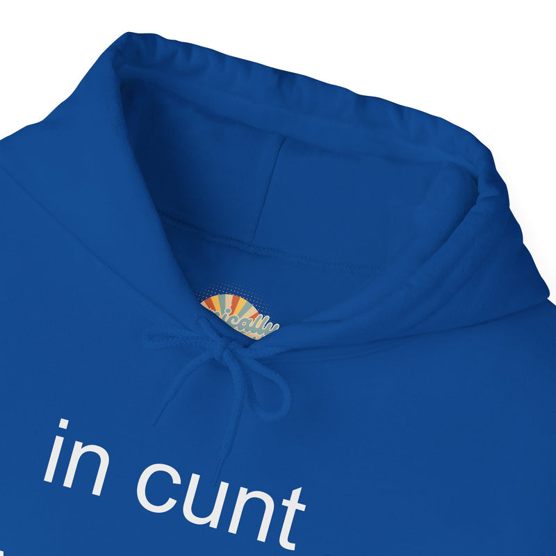 Hoodie — "in cunt we trust." Minimalist Provocative Text Hooded Sweatshirt