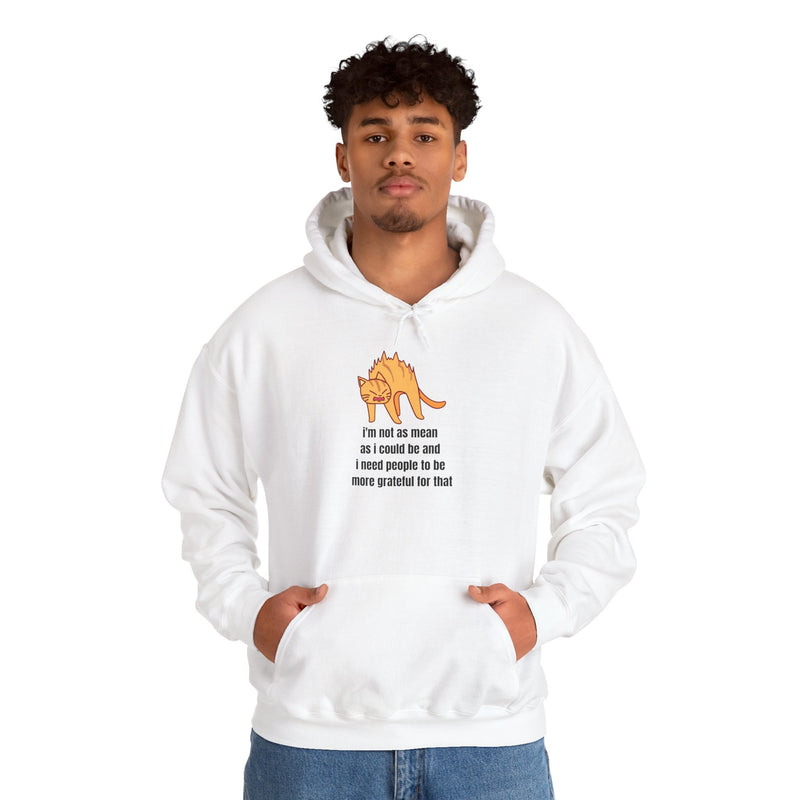 Sassy Cat Hoodie — "I’m not as mean as I could be..." Hooded Sweatshirt
