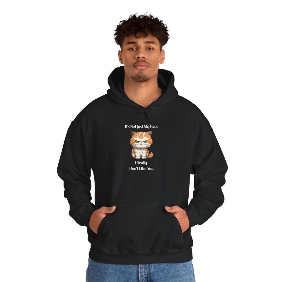 Sassy Cat Hoodie — It's Not Just My Face Graphic Hooded Sweatshirt