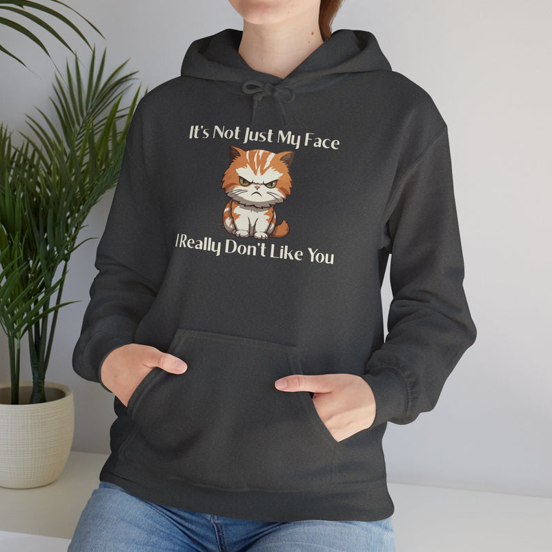 Sassy Cat Hoodie — "It's Not Just My Face, I Really Don't Like You"Graphic Hooded Sweatshirt