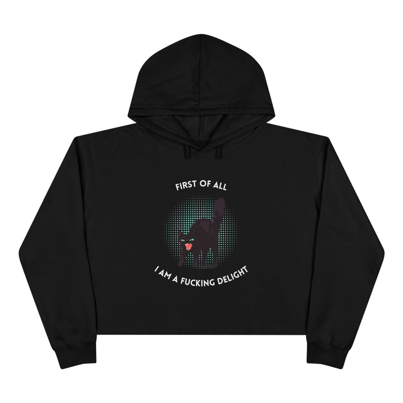 Graphic Black Cat Hooded Sweatshirt - "I am a Fucking Delight" Crop Hoodie