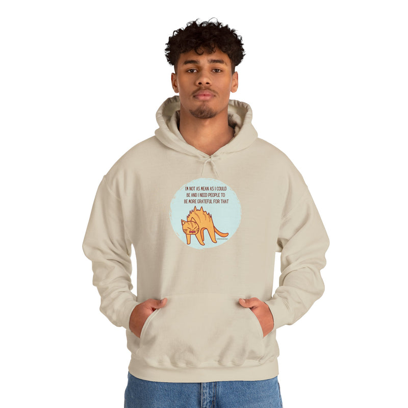 Sassy Cat Hoodie — "I’m not as mean as I could be..." Hooded Sweatshirt