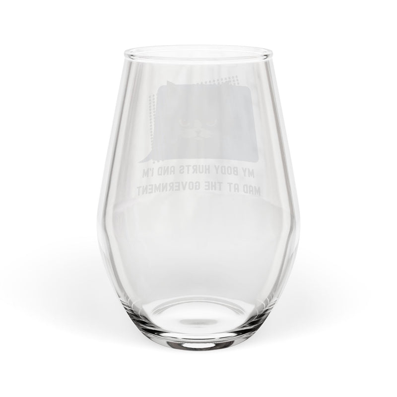 Stemless Wine Glass – My Body Hurts and I'm Mad at the Government Sassy Cat