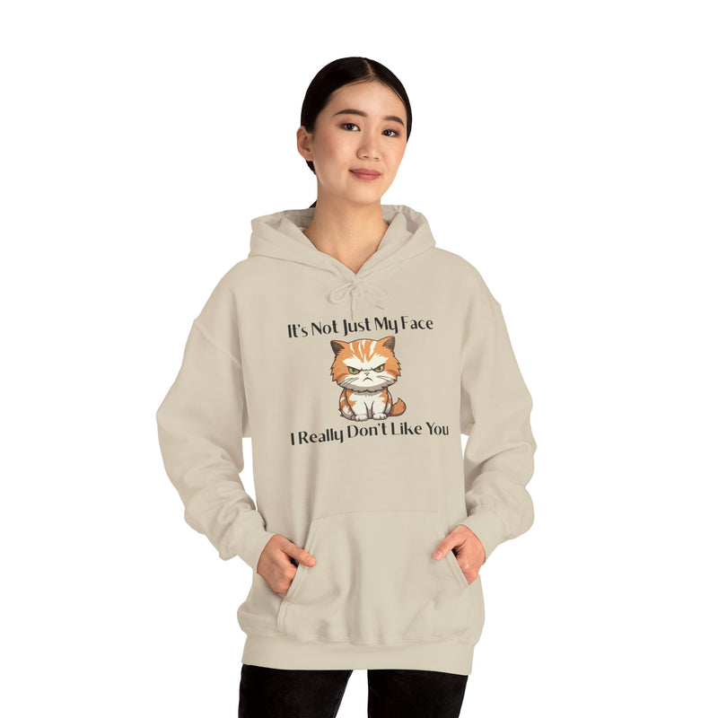 Sassy Cat Hoodie — "It's Not Just My Face, I Really Don't Like You"Graphic Hooded Sweatshirt