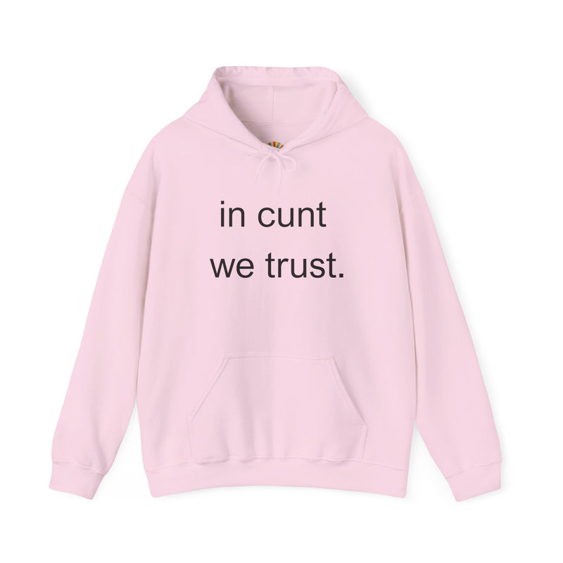 Hoodie — "in cunt we trust." Minimalist Provocative Text Hooded Sweatshirt