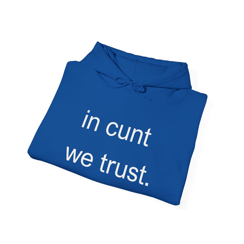 Hoodie — "in cunt we trust." Minimalist Provocative Text Hooded Sweatshirt