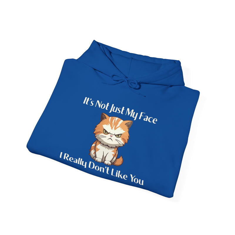 Sassy Cat Hoodie — "It's Not Just My Face, I Really Don't Like You"Graphic Hooded Sweatshirt