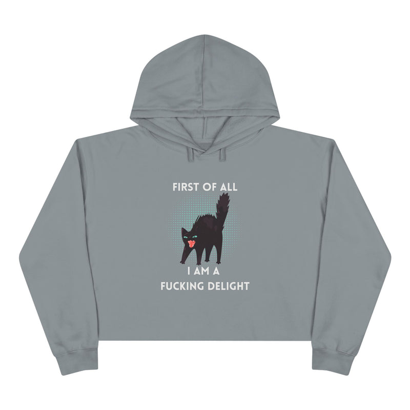 Graphic Black Cat Hooded Sweatshirt - "I am a Fucking Delight" Crop Hoodie