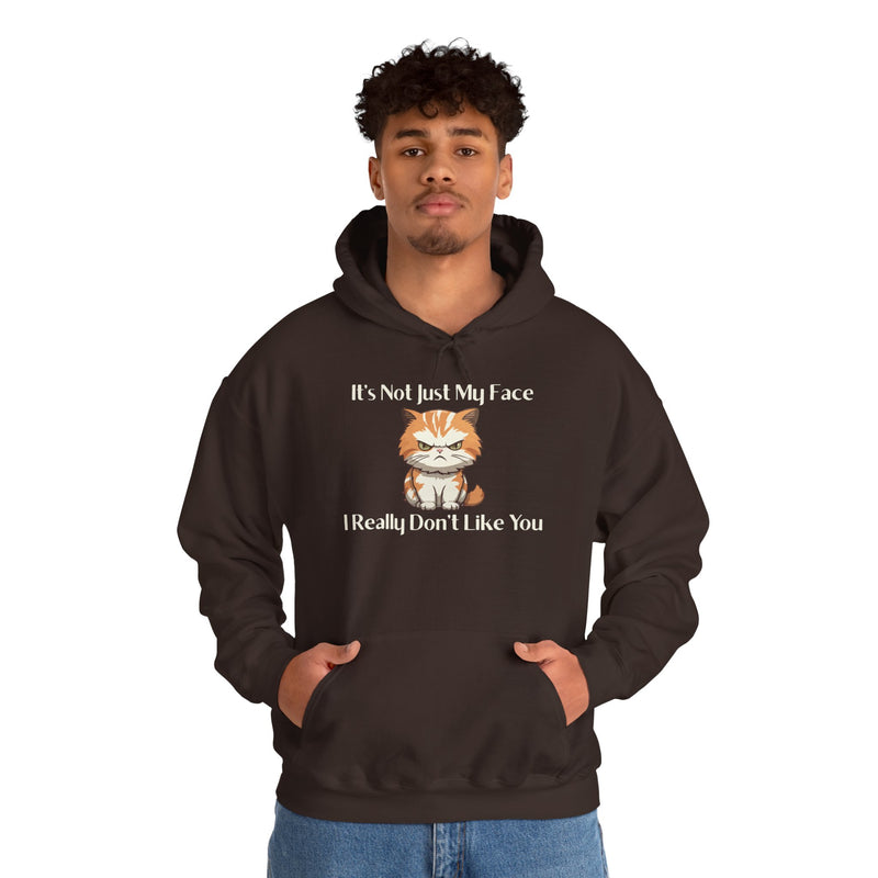 Sassy Cat Hoodie — "It's Not Just My Face, I Really Don't Like You"Graphic Hooded Sweatshirt