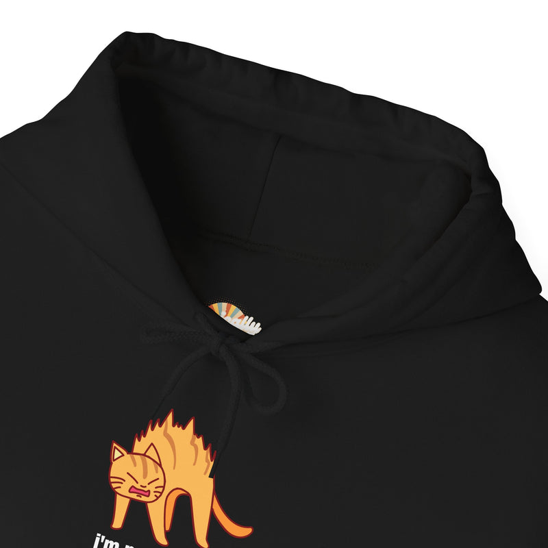 Sassy Cat Hoodie — "I’m not as mean as I could be..." Hooded Sweatshirt