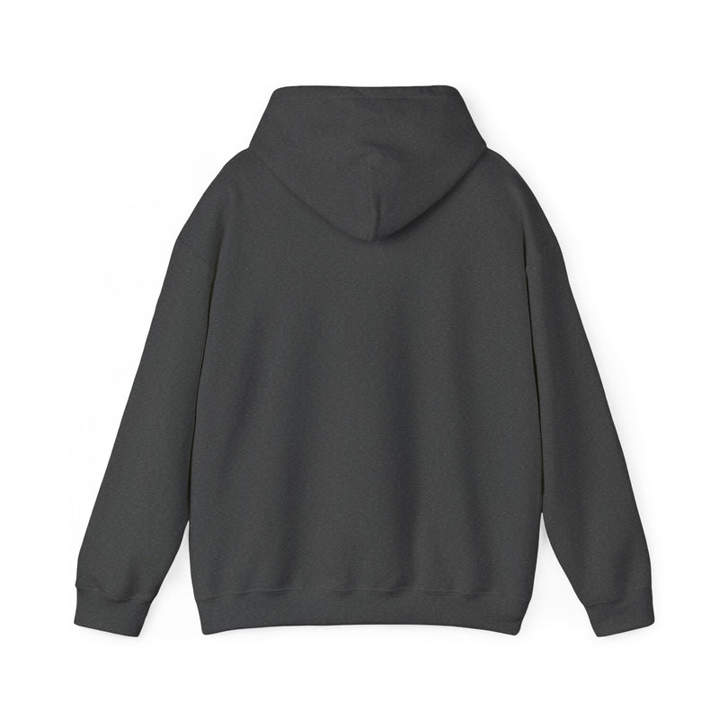 Graphic Hoodie — “Anxiety is Literally Just Conspiracy Theories About Ourselves” Minimalistic Text Hooded Sweatshirt
