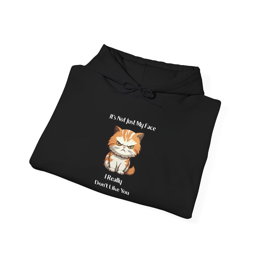 Sassy Cat Hoodie — It's Not Just My Face Graphic Hooded Sweatshirt