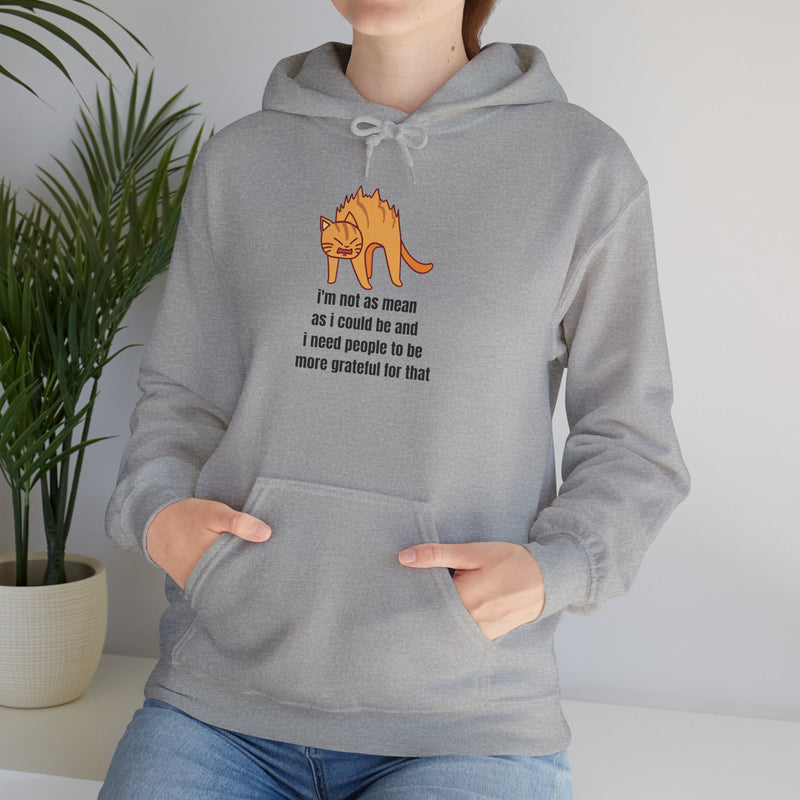 Sassy Cat Hoodie — "I’m not as mean as I could be..." Hooded Sweatshirt