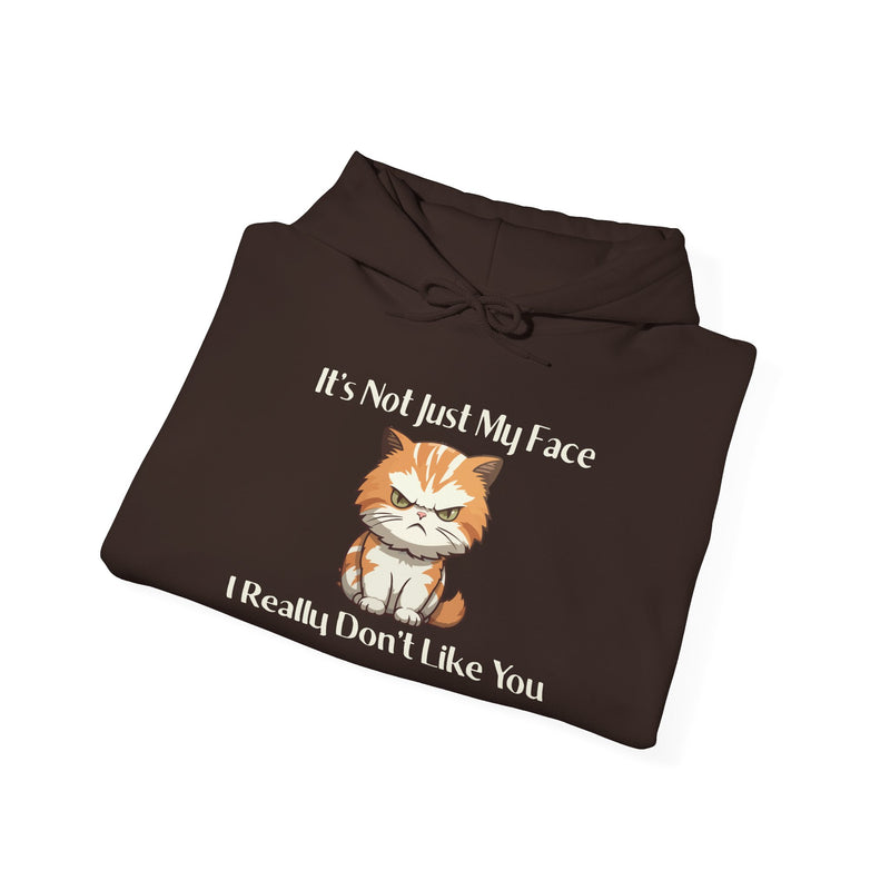 Sassy Cat Hoodie — "It's Not Just My Face, I Really Don't Like You"Graphic Hooded Sweatshirt