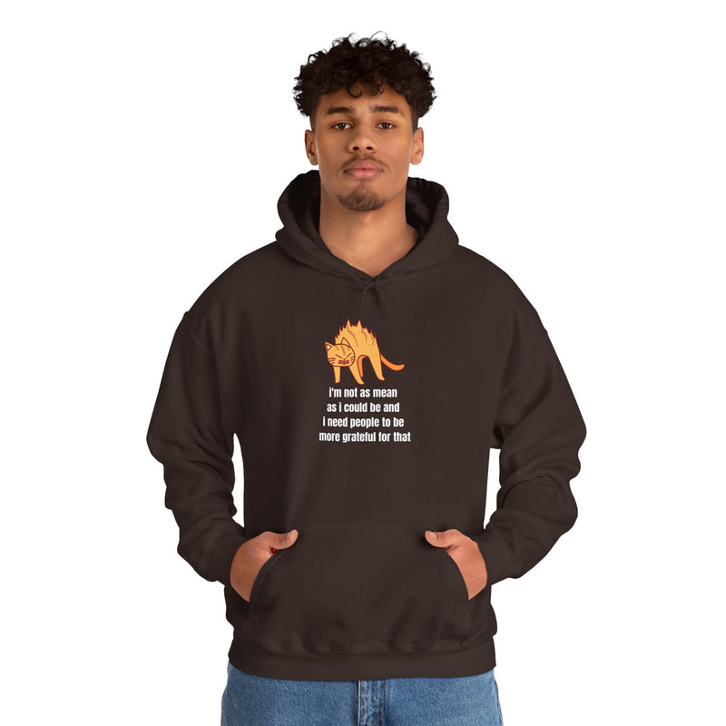 Sassy Cat Hoodie — "I’m not as mean as I could be..." Hooded Sweatshirt