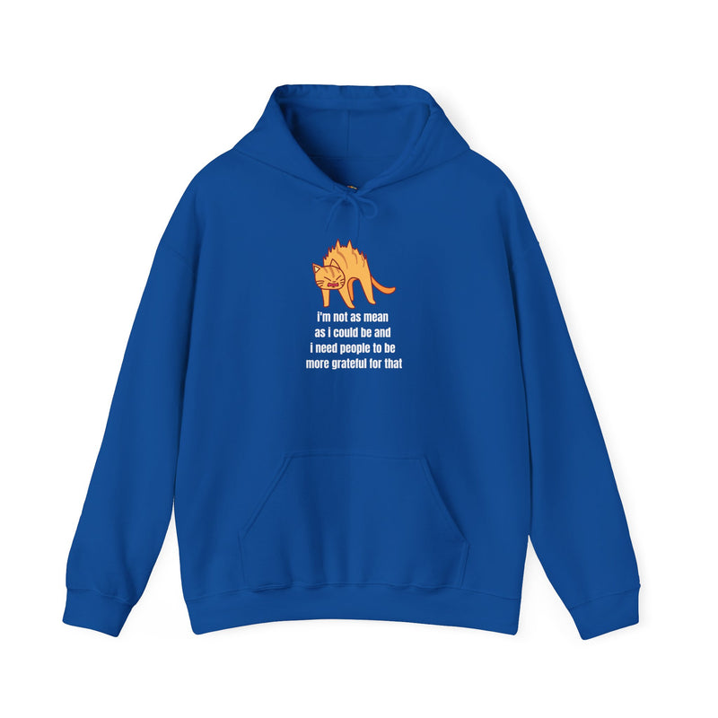 Sassy Cat Hoodie — "I’m not as mean as I could be..." Hooded Sweatshirt