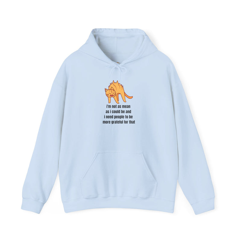 Sassy Cat Hoodie — "I’m not as mean as I could be..." Hooded Sweatshirt