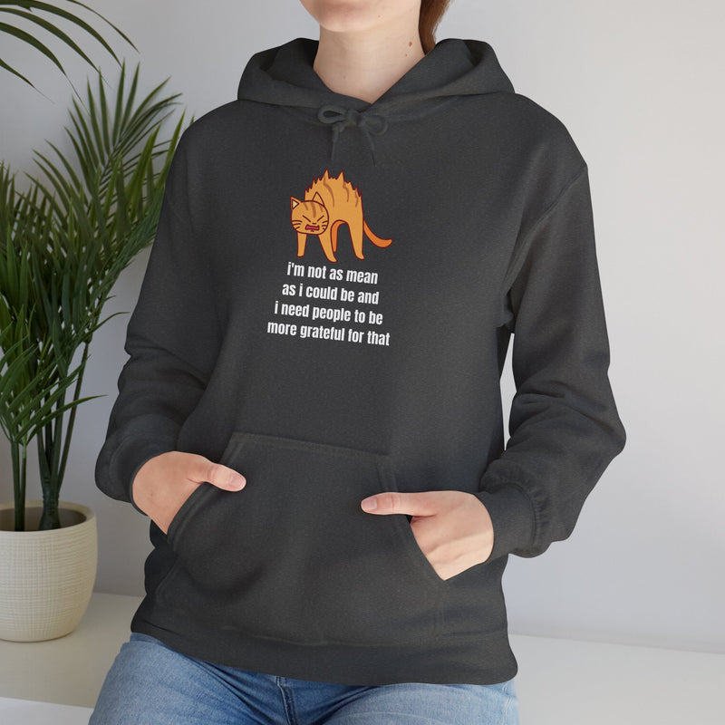 Sassy Cat Hoodie — "I’m not as mean as I could be..." Hooded Sweatshirt